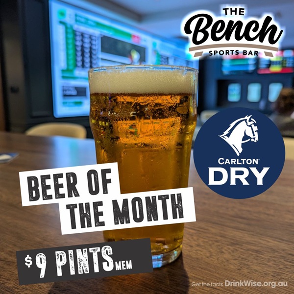 carlton-dry-pint-web